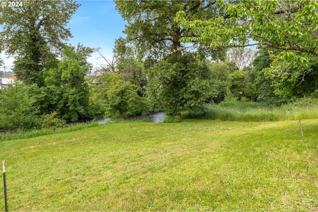 view of yard with a water view