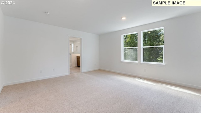 spare room featuring light carpet