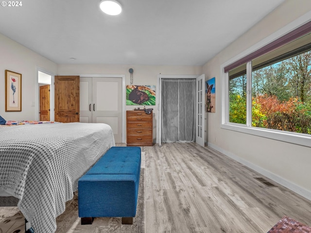 bedroom featuring light wood-type flooring and two closets