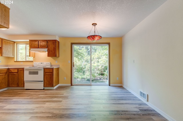 kitchen featuring decorative light fixtures, white electric range, light hardwood / wood-style flooring, and plenty of natural light