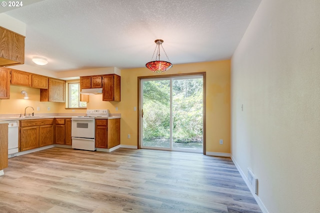 kitchen featuring light hardwood / wood-style floors, hanging light fixtures, white appliances, and a wealth of natural light