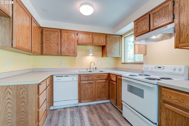 kitchen featuring light hardwood / wood-style floors, sink, and white appliances