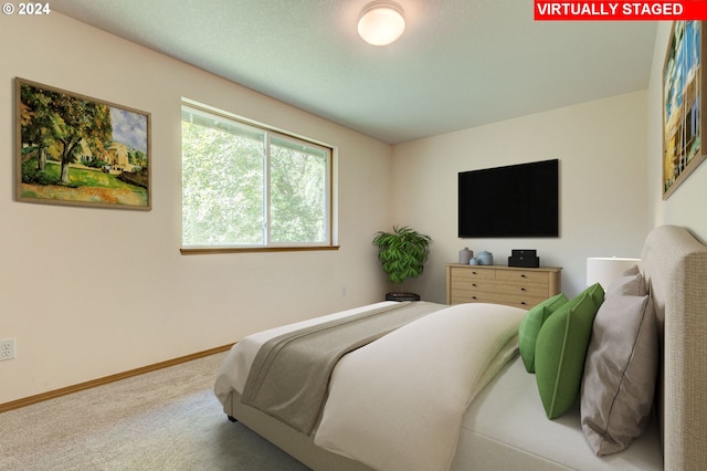 bedroom with carpet floors