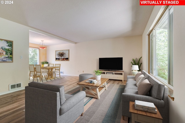 living room featuring wood-type flooring and a wealth of natural light