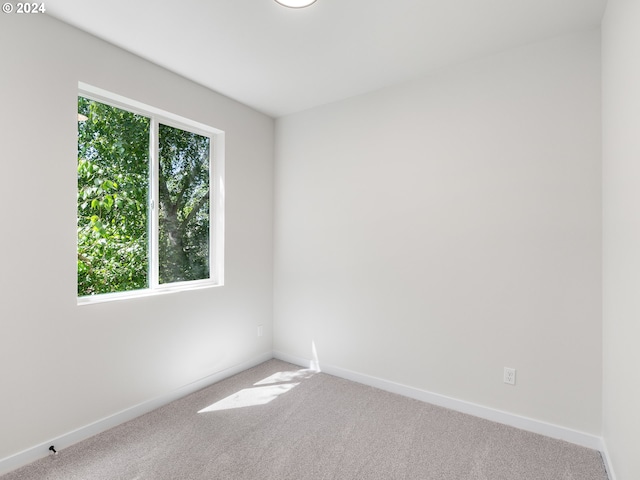 unfurnished room featuring plenty of natural light and carpet floors