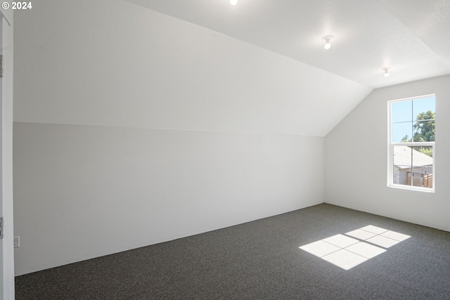 additional living space featuring vaulted ceiling and carpet flooring