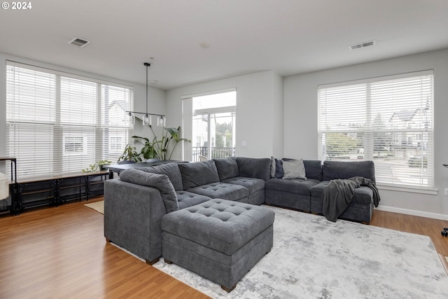 living room with a healthy amount of sunlight and wood-type flooring