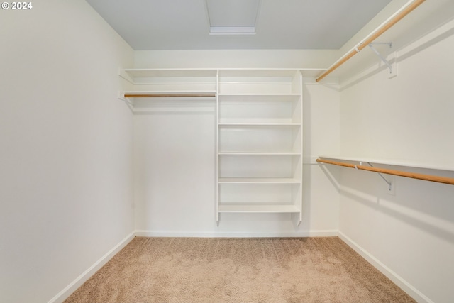 spacious closet with light colored carpet