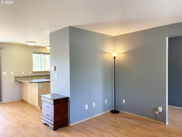 kitchen featuring sink and light wood-type flooring