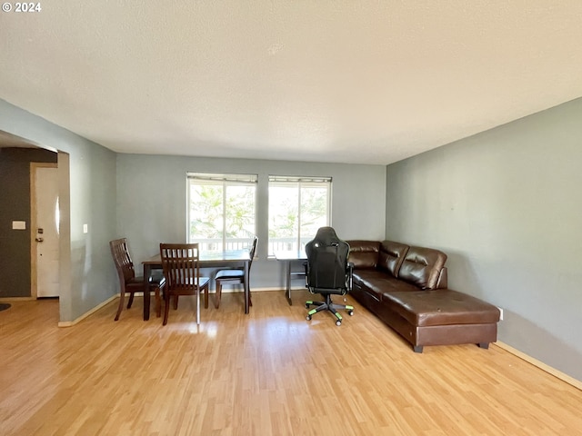 living room with a textured ceiling and light hardwood / wood-style flooring