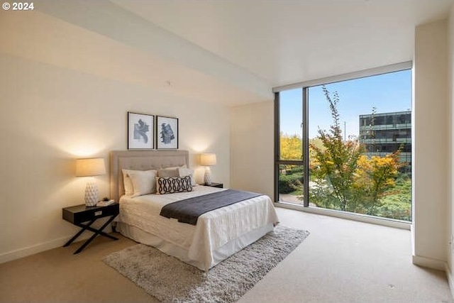 carpeted bedroom with expansive windows and baseboards