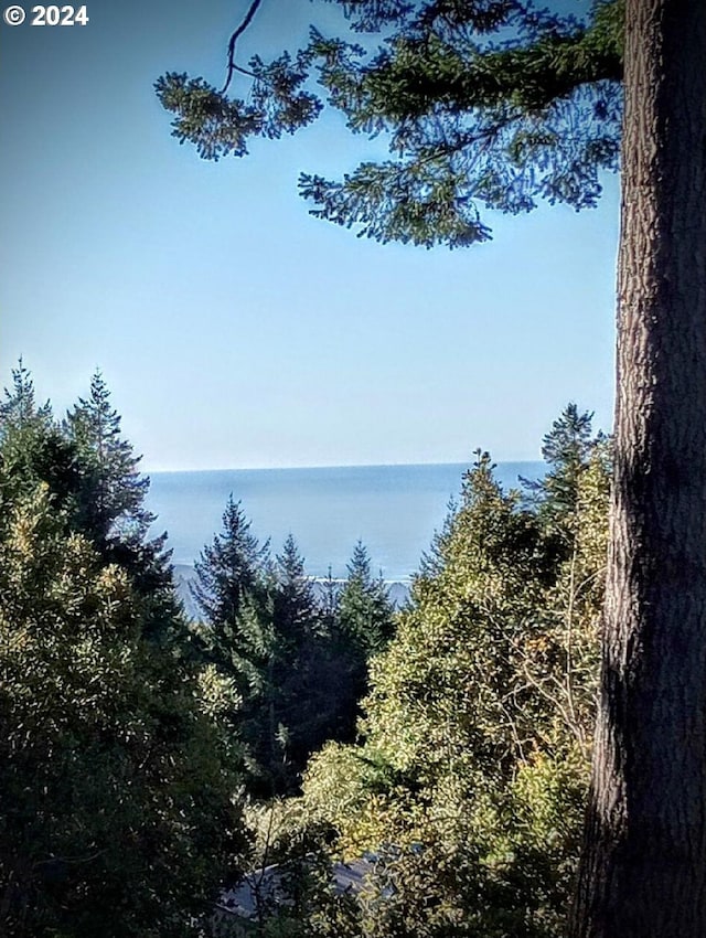 Rhody Dr # 600, Brookings, OR 97415