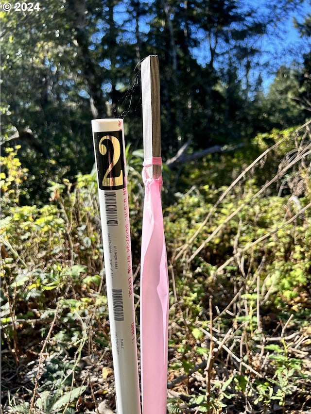 Rhody Dr # 600, Brookings, OR 97415