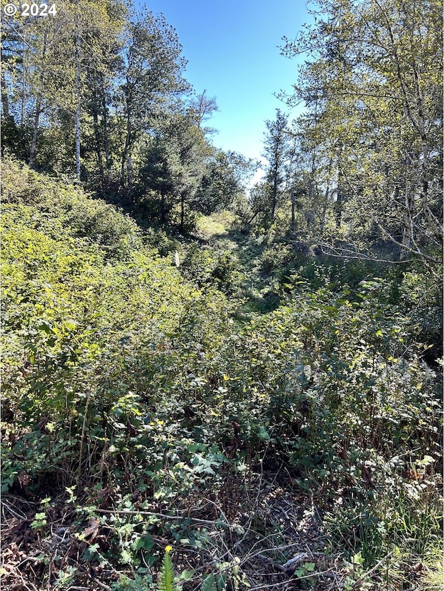 Rhody Dr # 600, Brookings, OR 97415