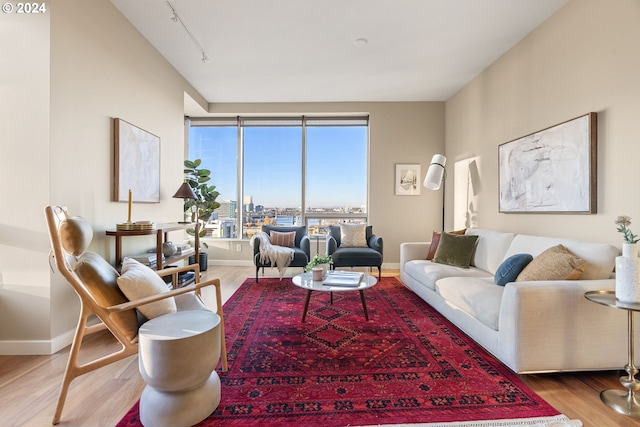 living room featuring hardwood / wood-style flooring