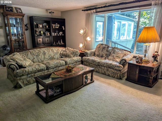 living room featuring carpet flooring and a textured ceiling