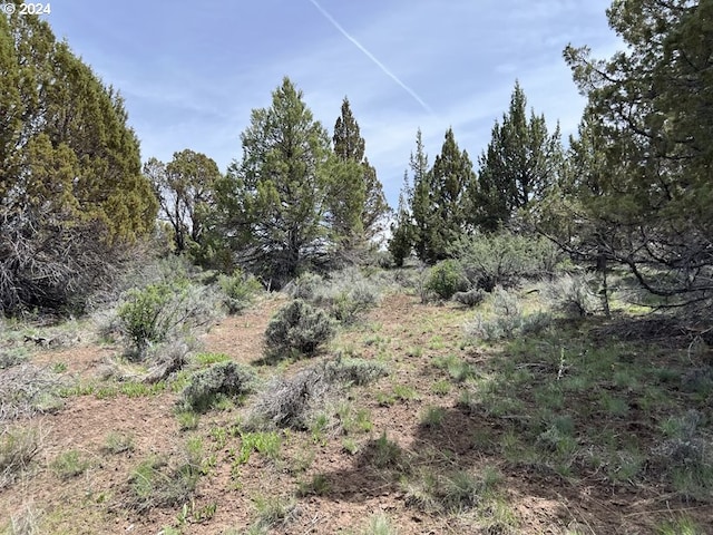 Fishhole Creek Rd Unit Tl 8800, Bly OR, 97622 land for sale