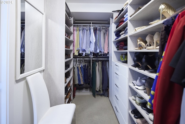 spacious closet featuring light colored carpet