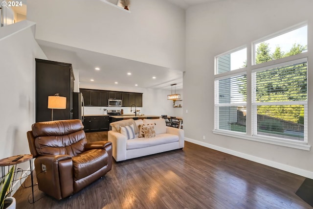 living room featuring sink, dark hardwood / wood-style floors, and a high ceiling