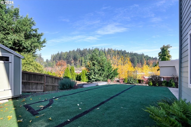 view of yard with a storage shed