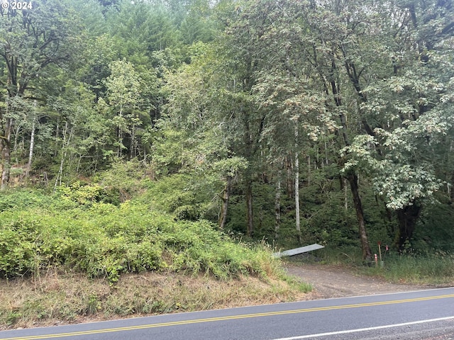 23255 E Alsea Hwy, Tidewater OR, 97390 land for sale