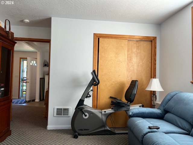 sitting room with a textured ceiling and carpet