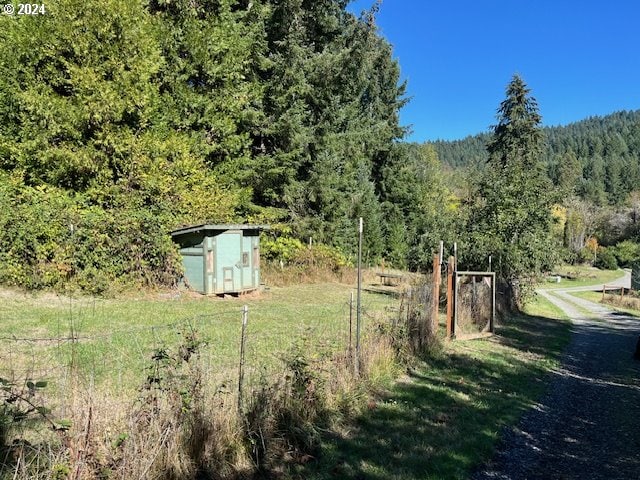 view of yard with a storage unit