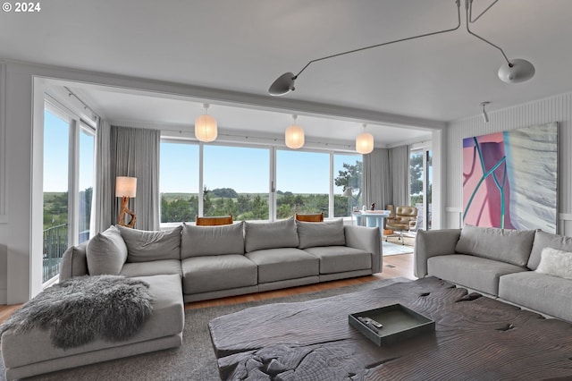 living room with hardwood / wood-style floors and a wealth of natural light