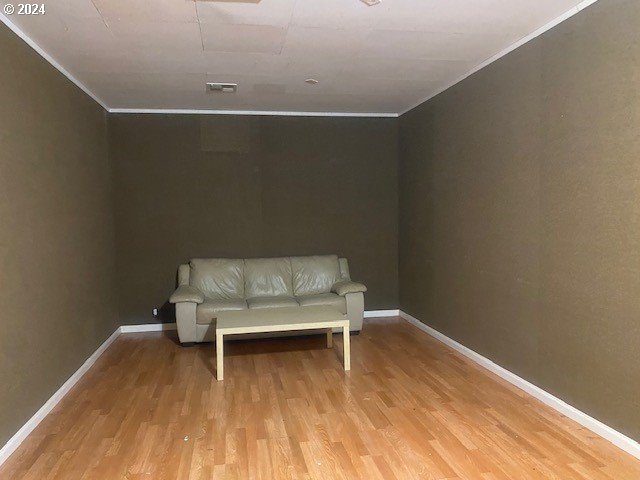 unfurnished room with light hardwood / wood-style floors and crown molding