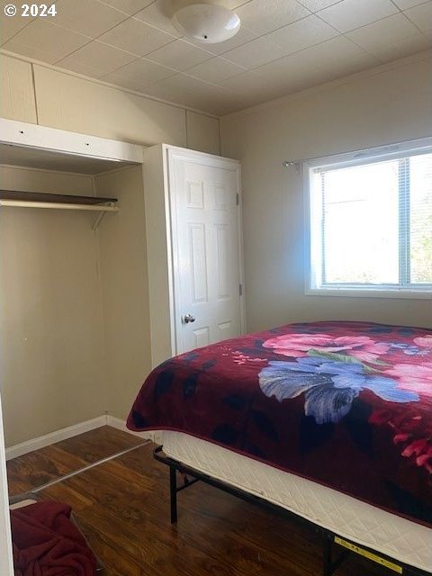 bedroom with a closet and hardwood / wood-style floors