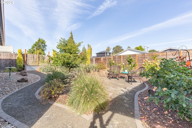 view of yard with a patio and a fenced backyard