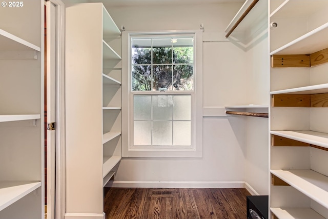 spacious closet featuring dark hardwood / wood-style floors