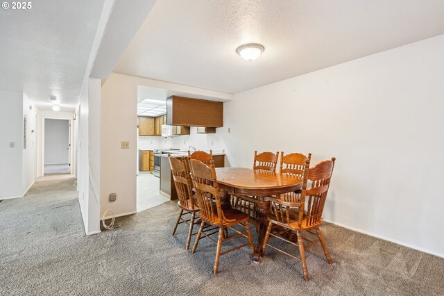 dining area with carpet floors and a textured ceiling