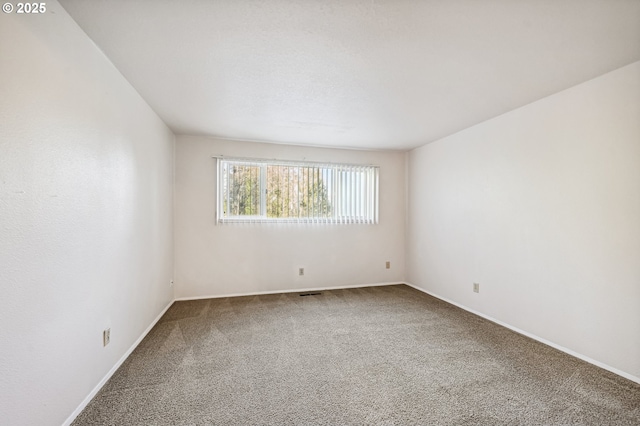 spare room with carpet