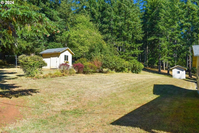 view of yard featuring a storage shed