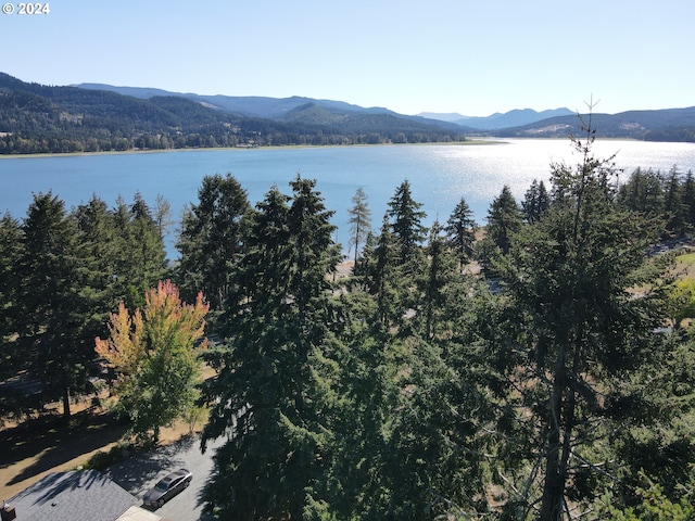 view of water feature featuring a mountain view