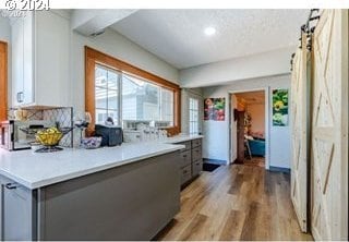 kitchen featuring gray cabinetry and light hardwood / wood-style flooring