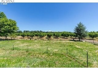 view of yard with a rural view