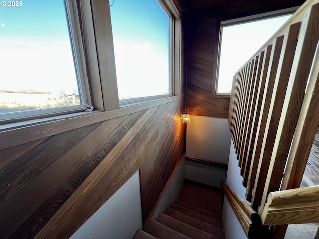 staircase with wood walls and a healthy amount of sunlight