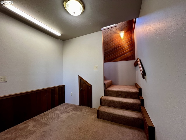 stairway with carpet flooring