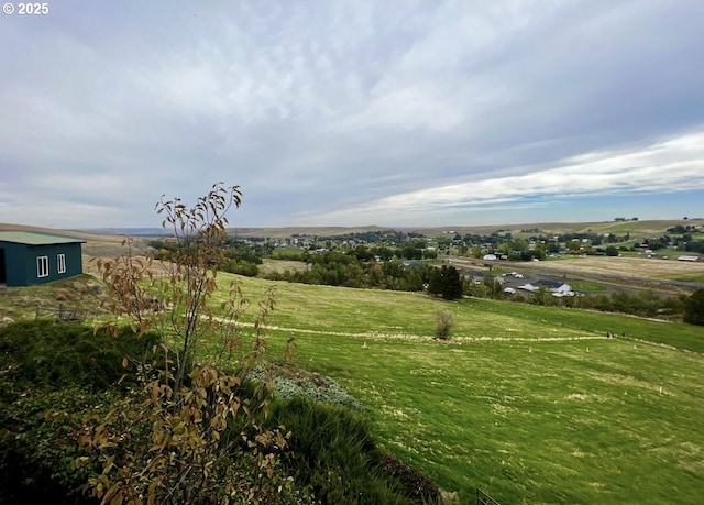 view of yard featuring a rural view