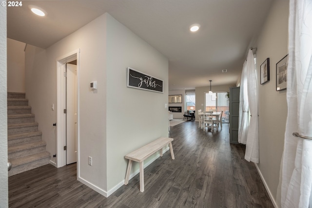 hallway with dark hardwood / wood-style floors