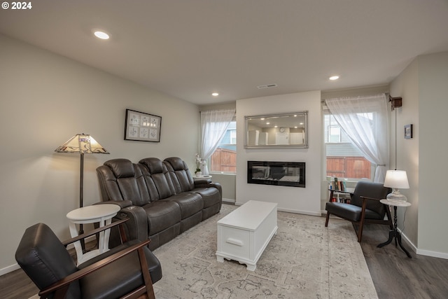 living room featuring hardwood / wood-style floors