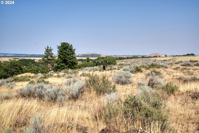 view of landscape featuring a rural view