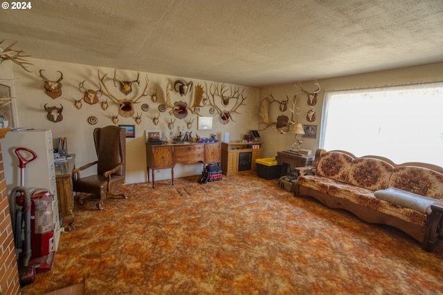 sitting room with carpet flooring and a textured ceiling