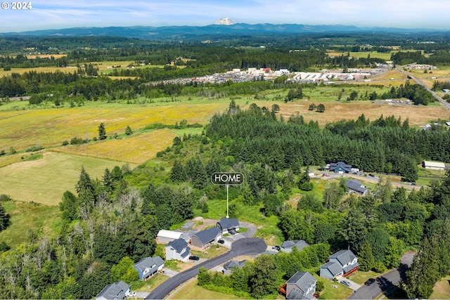 aerial view with a mountain view