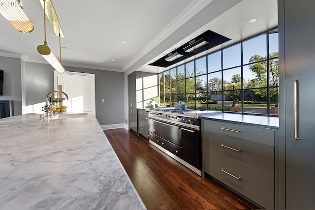 kitchen with crown molding, dark hardwood / wood-style flooring, sink, and high end stainless steel range