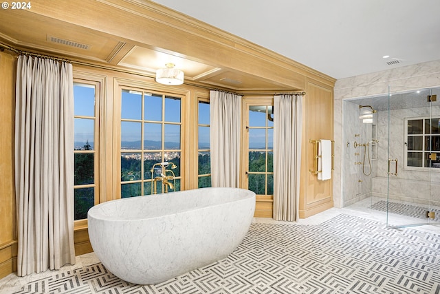 bathroom with a mountain view, ornamental molding, a healthy amount of sunlight, and shower with separate bathtub