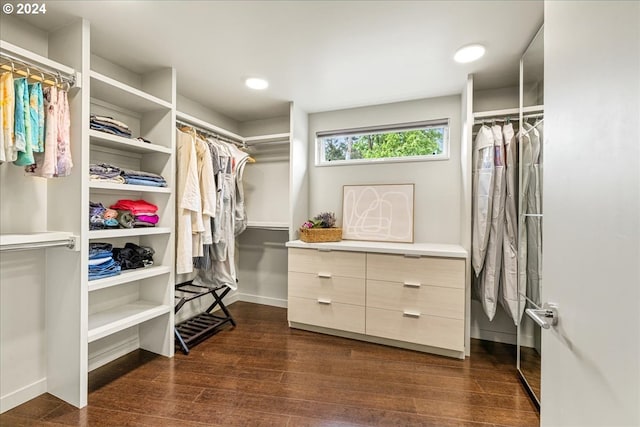 spacious closet featuring dark hardwood / wood-style flooring