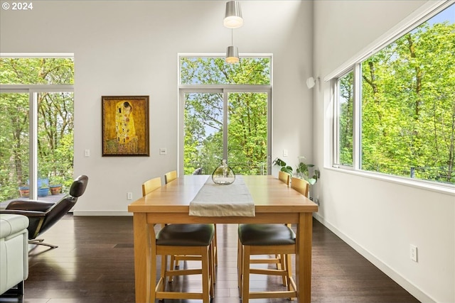 dining area with dark wood-type flooring